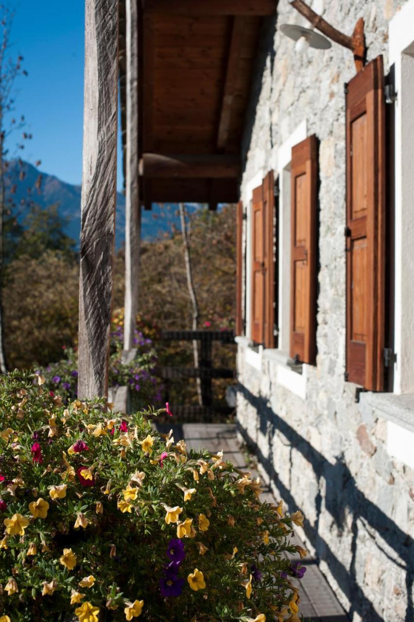 Alloggio per agriturismo La Pedruscia *